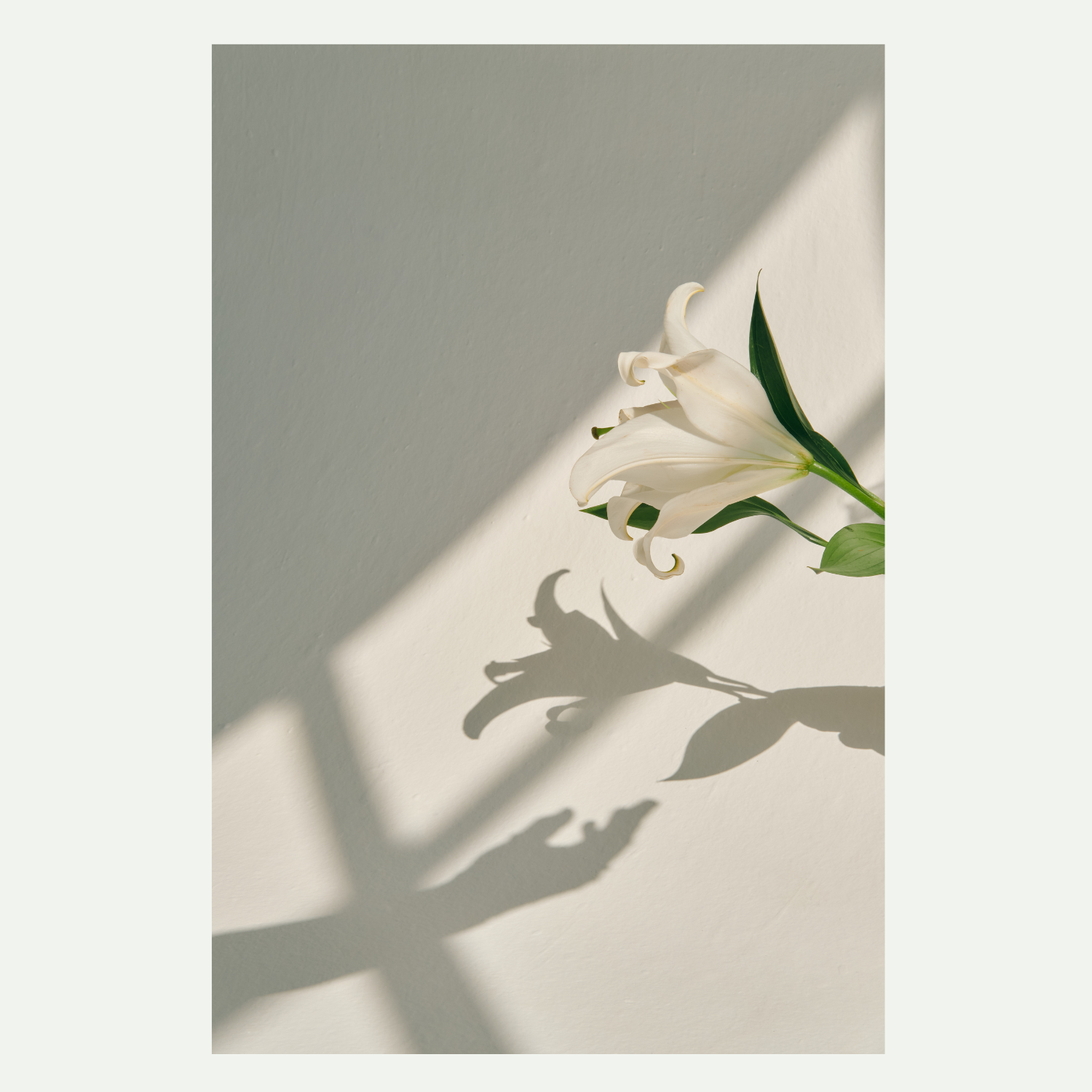 Untitled design